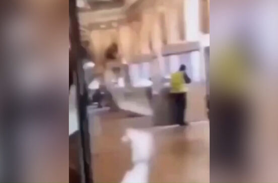 Vídeo capta um dos ladrões que assaltou Museu do Louvre a partir vitrine em plena luz do dia