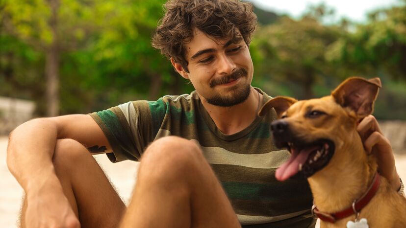 Brasil: Netflix lança campanha de adoção de cães após o sucesso do filme "Caramelo"