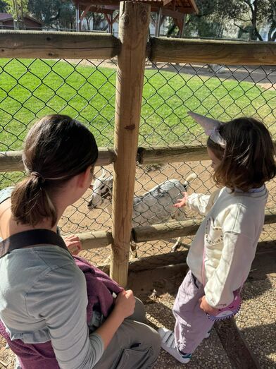 Crianças visitam porcos bebés na Quinta Pedagógica dos Olivais