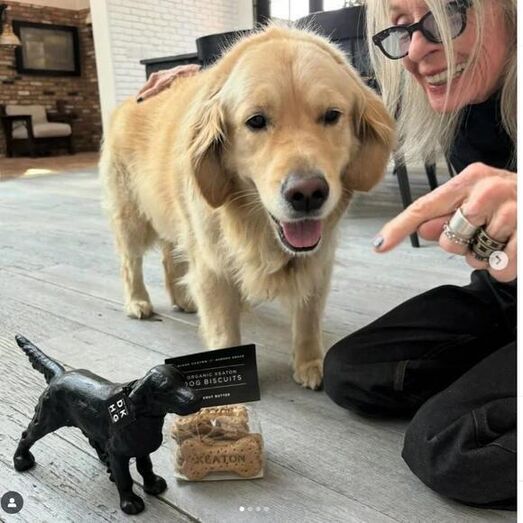Diane Keaton deixa herança ao seu fiel "cãopanheiro" Reggie