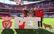 Já conhece o Benfica Pet? Agora, os animais de estimação têm lugar oficial na família encarnada