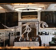 Restaurantes da Avenida da Liberdade têm menu gourmet em promoção no evento 'Tasting in Avenida'.
