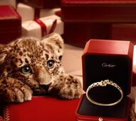 O Natal ficou mais mágico e fofinho. Cartier lança campanha festiva com panteras bebé