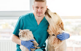 Tem que prestar atenção à saúde íntima do seu animal. Novembro Azul Pet: a campanha que protege o melhor amigo do homem