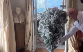 A pouco discreta árvore de Natal de Manuel Luís Goucha e Rui Oliveira 