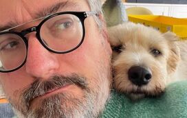 Afinal, os cães podem ou não pressentir se os donos estão a ter um AVC? A história de Chiclete, a famosa cadela de Nuno Markl