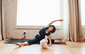 Preço de aulas de ioga na Flórida revertem a favor de galinhas resgatas