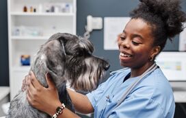 Há 7 sinais que não pode ignorar no seu animal de estimação! Saiba os motivos pelos quais tem que correr para o veterinário