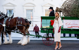 'Faux pas'! Melania Trump inaugura Natal na Casa Branca... mas comete erro na roupa escolhida