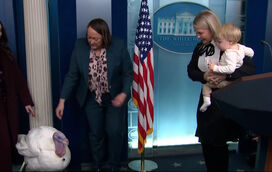 Foi perdoado e ainda passeou pela sala de imprensa da Casa Branca: o felizardo peru que recebeu o perdão de Donald Trump