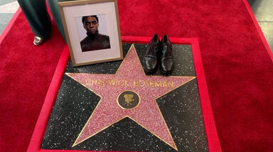 Ator de 'Pantera Negra' Chadwick Boseman recebe estrela póstuma no Passeio da Fama de Hollywood  
