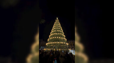 "3,2,1... é Natal em Lisboa!": Pinheiro já brilha na Praça do Comércio