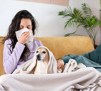 Onde termina o mito e começa a verdade sobre as contipações do seu cão ou do seu gato? Descubra aqui tudo o que precisa saber