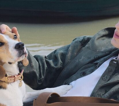Quem manda realmente em casa? A forma surpreendente como os cães escolhem o seu líder