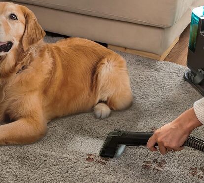 Sofás e tapetes como novos! O aspirador que vai manter a sua casa em ordem e higienizada