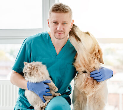 Tem que prestar atenção à saúde íntima do seu animal. Novembro Azul Pet: a campanha que protege o melhor amigo do homem