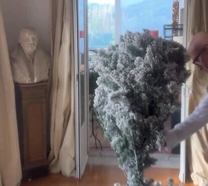 A pouco discreta árvore de Natal de Manuel Luís Goucha e Rui Oliveira 