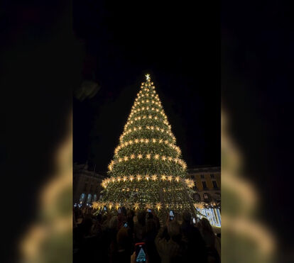 '3,2,1... é Natal em Lisboa!': Pinheiro já brilha na Praça do Comércio