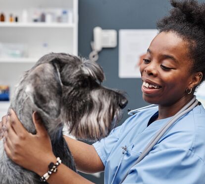 Há 7 sinais que não pode ignorar no seu animal de estimação! Saiba os motivos pelos quais tem que correr para o veterinário