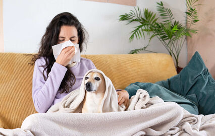 Constipações caninas e felinas: mito ou verdade? Descubra aqui