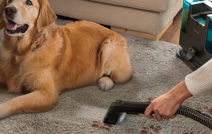 Aspirador 3 em 1 limpa profundamente estofos e tapetes, eliminando ácaros e sujidade, para uma casa mais saudável