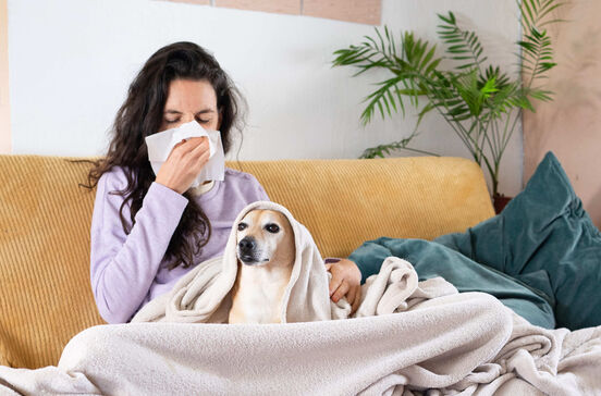 Constipações caninas e felinas: mito ou verdade? Descubra aqui