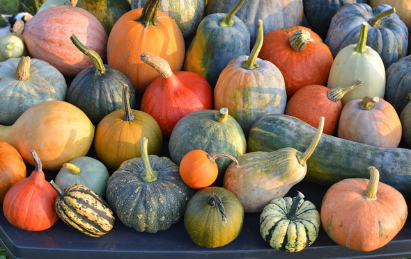 Abóbora, batata-doce, uvas, romãs, cogumelos, frutos secos, legumes e chocolate negro ajudam a regular o humor