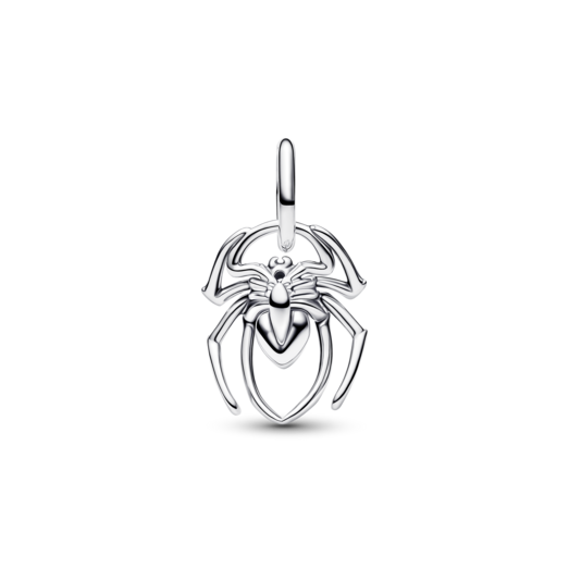 Um pendente de aranha em prata