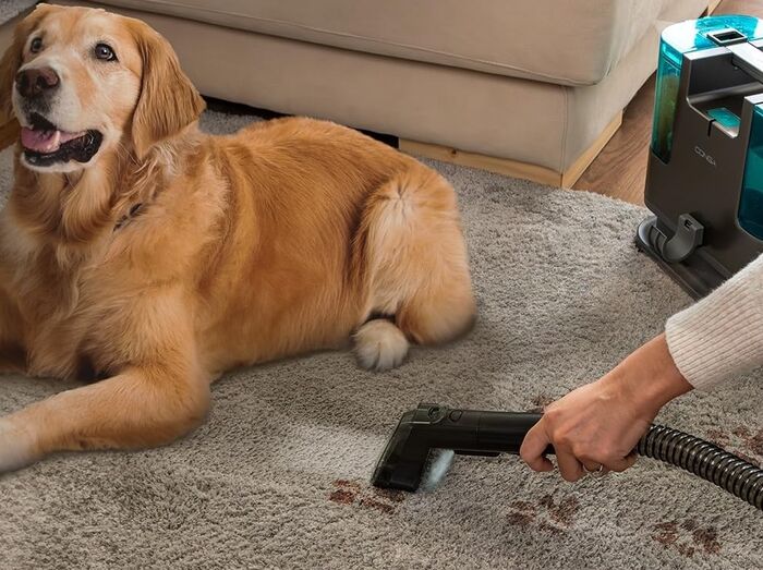 Aspirador 3 em 1 limpa profundamente estofos e tapetes, eliminando ácaros e sujidade, para uma casa mais saudável