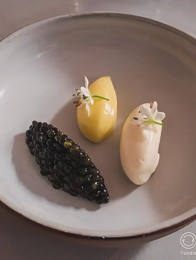 Herdeiros de Paula Amorim em Nova Iorque, inspirados pela "cultura de excelência" JNcQUOI