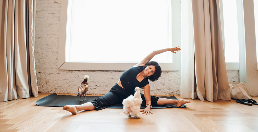 Tapetes, fraldas e penas! Galinhas resgatadas dão nova vida a aulas de ioga na Flórida