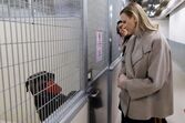 Charlene visitou abrigo para animais e interagiu com cães à espera de adoção