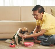 Herói de quatro patas! Cão evita que dono morra em incêndio em Hong Kong