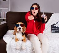 Pets no cinema? Sim, já e possível. Veja como tudo aconteceu