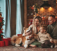 Família festeja o Natal com animal de estimação em casa