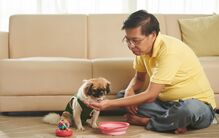 Herói de quatro patas! Cão evita que dono morra em incêndio em Hong Kong