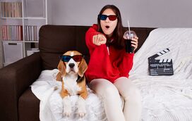 Quer levar o seu cão ao cinema para ver um filme ao seu lado? Já é possível! 