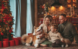 Começaram as férias de Natal e não sabe o que fazer com o seu patudo? Veja aqui os prós e os contras do hotel, do petsitter ou, simplesmente, levar o seu pet consigo para umas Festas Felizes!