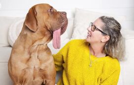 Um novo recorde do Guiness! Conheça o Ozzy, o cão que tem uma língua com mais de 19 centímetros 