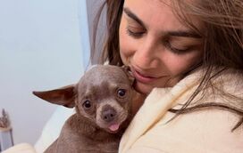 Uma nova história de amor: Ana Guiomar apresenta a sua nova cadelinha ao mundo