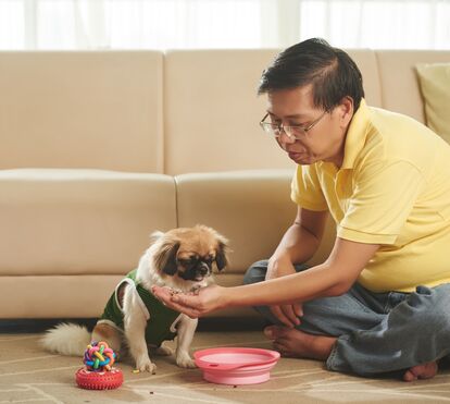 Herói de quatro patas! Cão evita que dono morra no trágico incêndio em Hong Kong