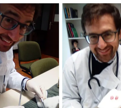 Isto é uma ilegalidade! Deputado do Chega debaixo de fogo depois de ter feito uma castração de um gato na sede do partido. Saiba quais as consequências  