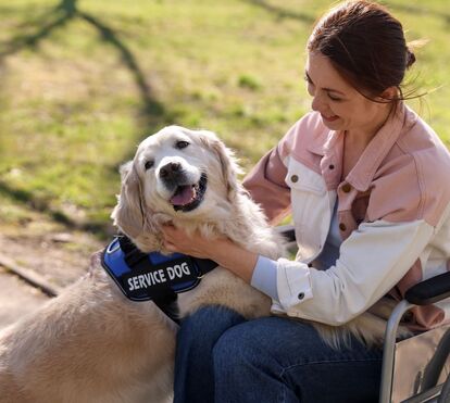 Cães, cavalos e outros animais: conheça as principais vantagens da terapia assistida com os patudos e porque está a crescer em Portugal