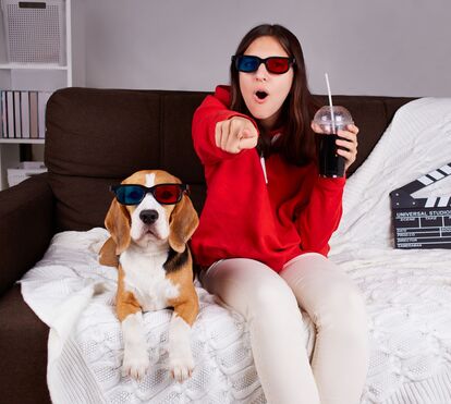 Quer levar o seu cão ao cinema para ver um filme ao seu lado? Já é possível! 