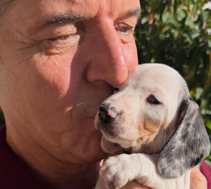 João Baião dá as boas-vindas a um novo patudo da sua família animal! Conheça o novo amigo que já está na quinta do apresentador