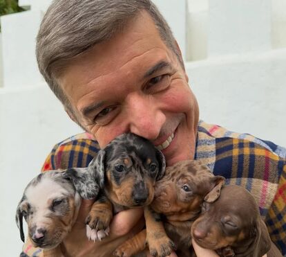 Tratar os cães por 'meus bebés'? João Baião é criticado... mas responde 