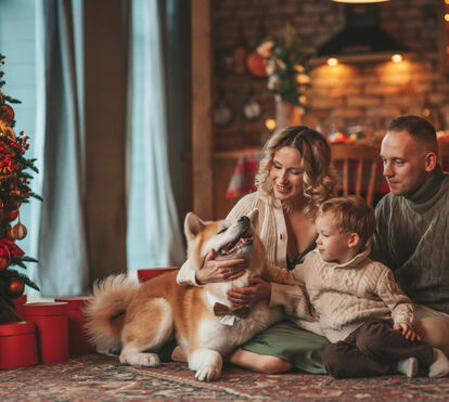 Começaram as férias de Natal e não sabe o que fazer com o seu patudo? Veja aqui os prós e os contras do hotel, do petsitter ou, simplesmente, levar o seu pet consigo para umas Festas Felizes!