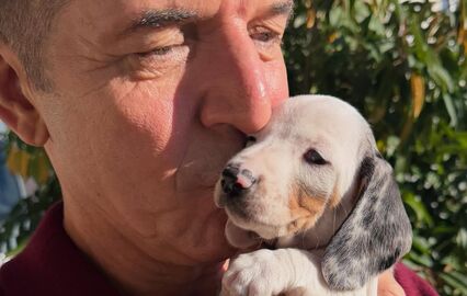 João Baião apresenta novo elemento da sua família animal, uma cadelinha