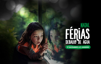 Férias de Natal com vista para o fundo do mar. O Oceanário de Lisboa volta a abrir portas aos mais novos