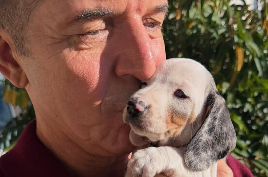 João Baião apresenta novo elemento da sua família animal, uma cadelinha